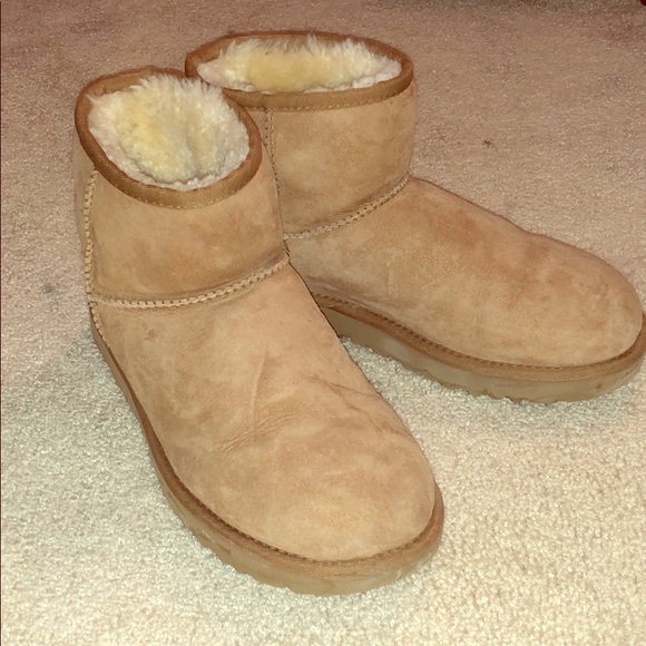 Short style uggs - Picture 1 of 2